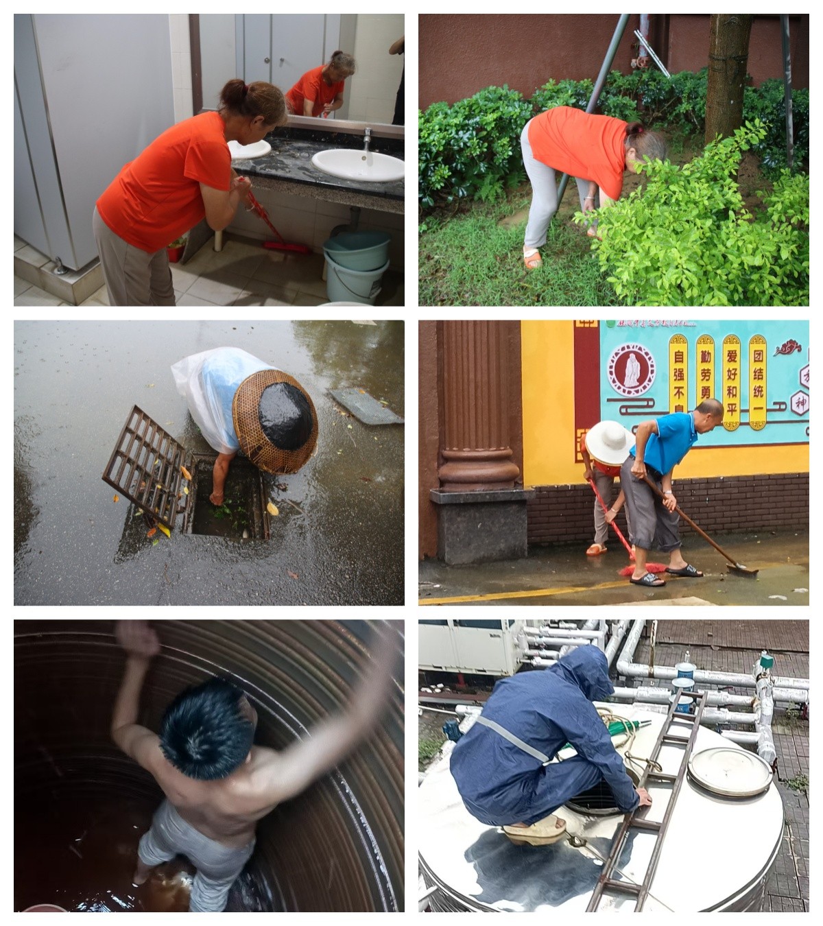 清积水、杂草 拼图.jpg